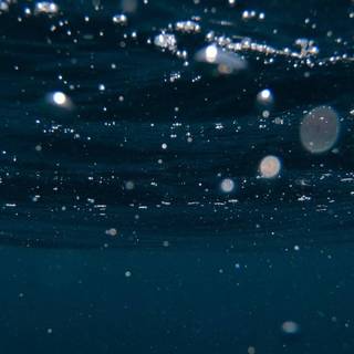 iPhone 11 sea wallpaper