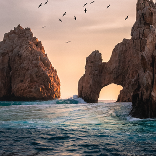 iPhone 11 sea wallpaper