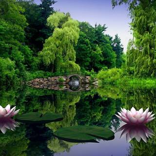 Nature 1600x900 wallpaper