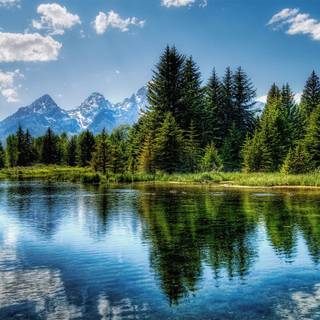 Nature 1600x900 wallpaper