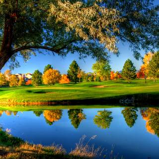 Nature 1600x900 wallpaper