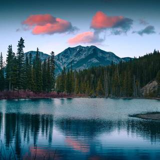 Nature 1600x900 wallpaper