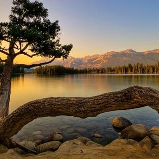 Nature 1600x900 wallpaper