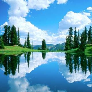 Nature 1600x900 wallpaper