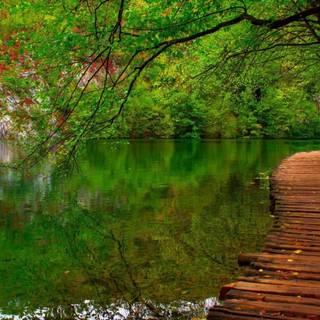 Nature 1600x900 wallpaper