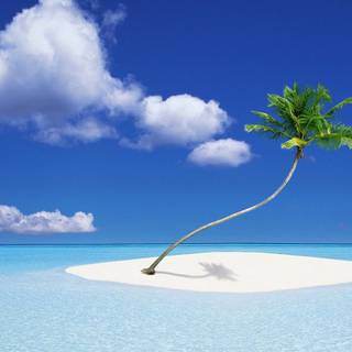 Nature 1600x900 wallpaper