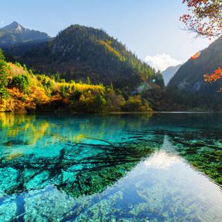 Nature 1600x900 wallpaper