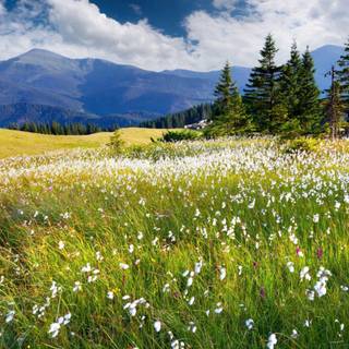 Nature 1600x900 wallpaper