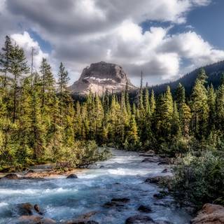 Nature 1600x900 wallpaper