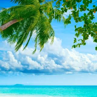 Nature 1600x900 wallpaper