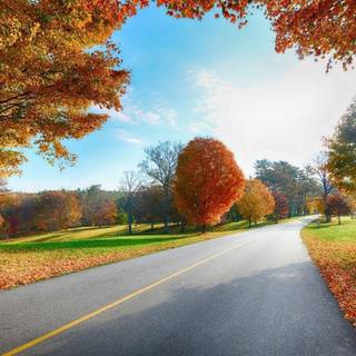 Nature 1600x900 wallpaper