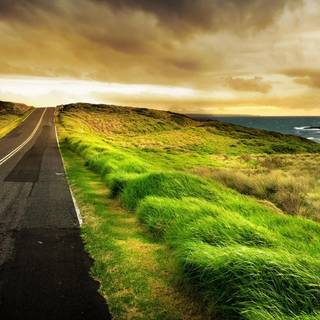 Nature 1600x900 wallpaper