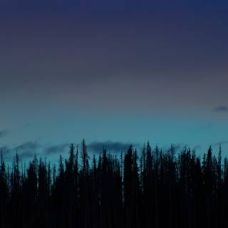 Night aesthetic horizontal 4k wallpaper