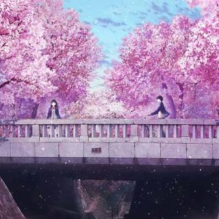 Aesthetic Sakura tree anime wallpaper