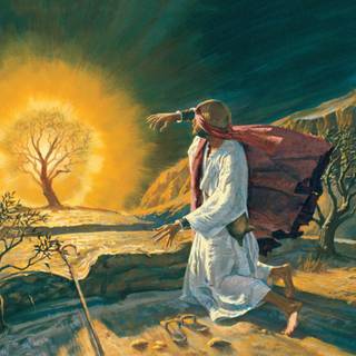 Burning bush wallpaper