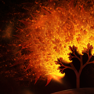 Burning bush wallpaper