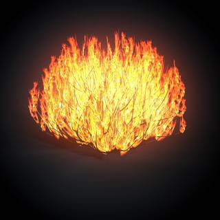 Burning bush wallpaper