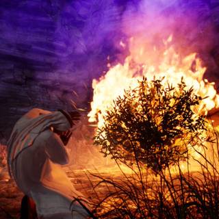 Burning bush wallpaper