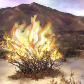 Burning bush wallpaper
