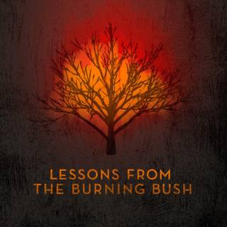 Burning bush wallpaper