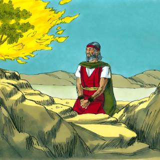 Burning bush wallpaper