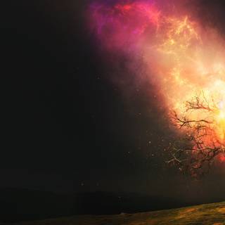 Burning bush wallpaper