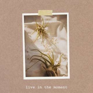 Brown aesthetic phone wallpaper