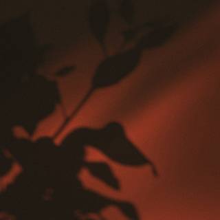 Brown aesthetic phone wallpaper