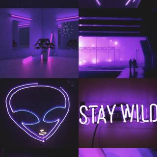 Aesthetic purple neon wallpaper