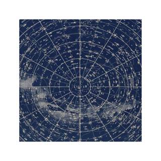 Planisphere wallpaper