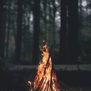 Fire wood wallpaper