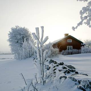 Sweden winter wallpaper