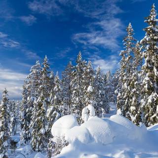 Sweden winter wallpaper