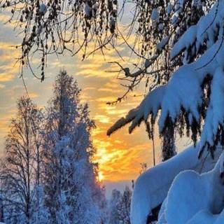 Sweden winter wallpaper