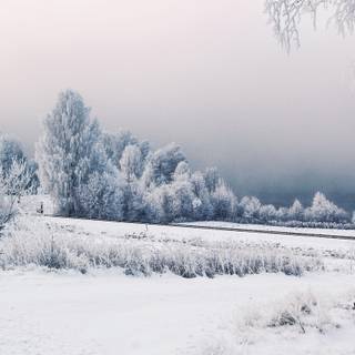 Sweden winter wallpaper