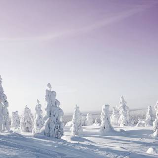 Sweden winter wallpaper