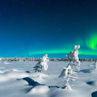 Sweden winter wallpaper