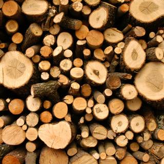 Fire wood wallpaper