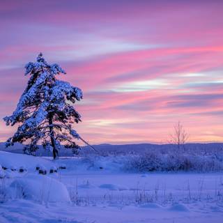 Sweden winter wallpaper