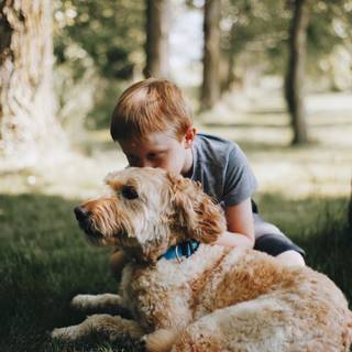 Dog and boy wallpaper