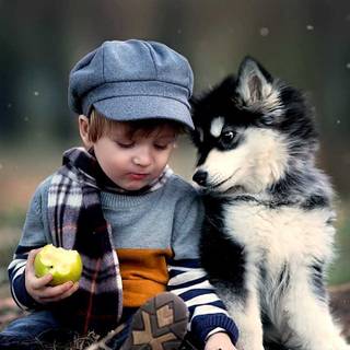 Dog and boy wallpaper