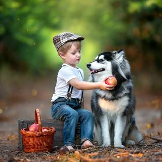 Dog and boy wallpaper