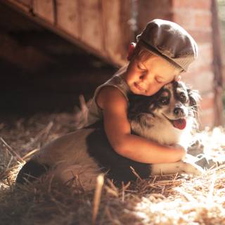 Dog and boy wallpaper