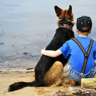 Dog and boy wallpaper