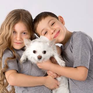 Dog and boy wallpaper