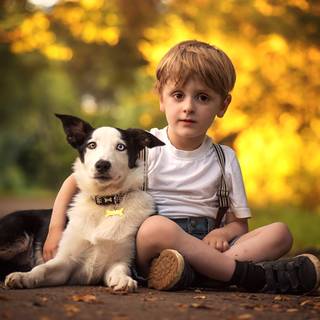Dog and boy wallpaper