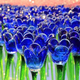 Blue tulips wallpaper