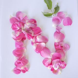 Pink letter n wallpaper