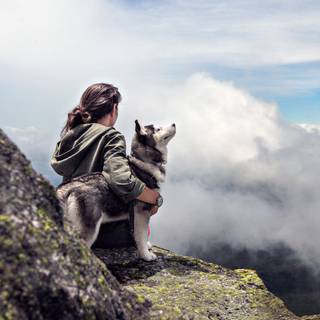 Dog and boy wallpaper