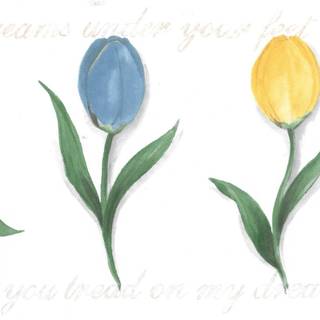 Blue tulips wallpaper